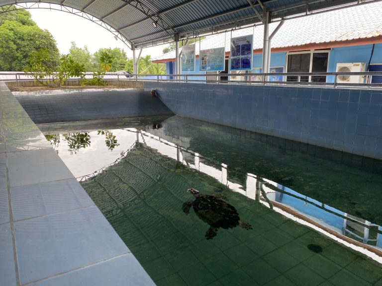 Kolam menyelamat 2