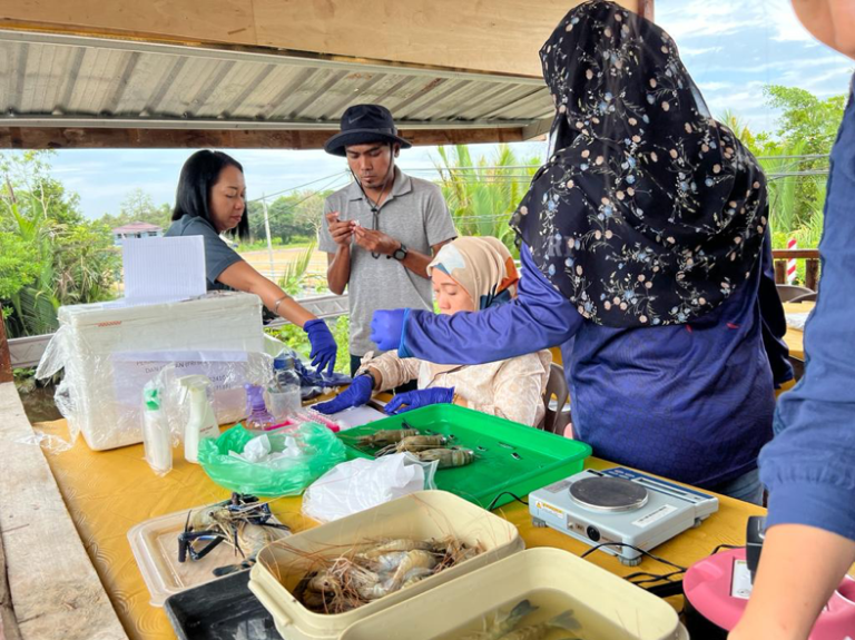 Menjalankan Kajian Udang Galah di Beaufort, Sabah pada September 2023