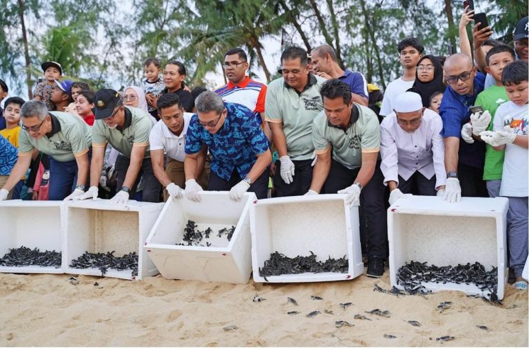 Pelepasan Penyu