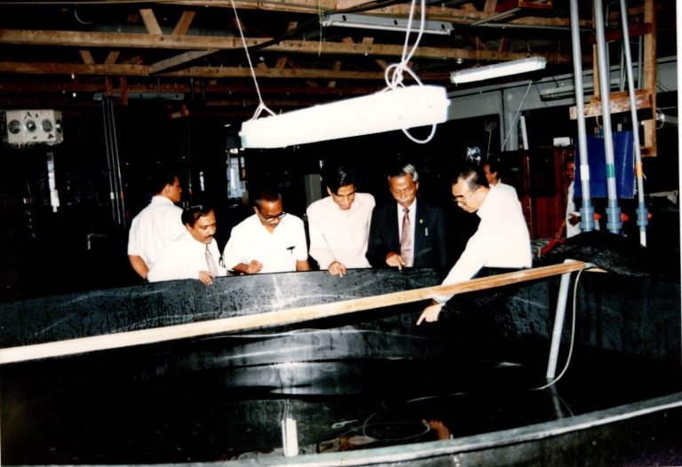 Tangki pematangan induk
