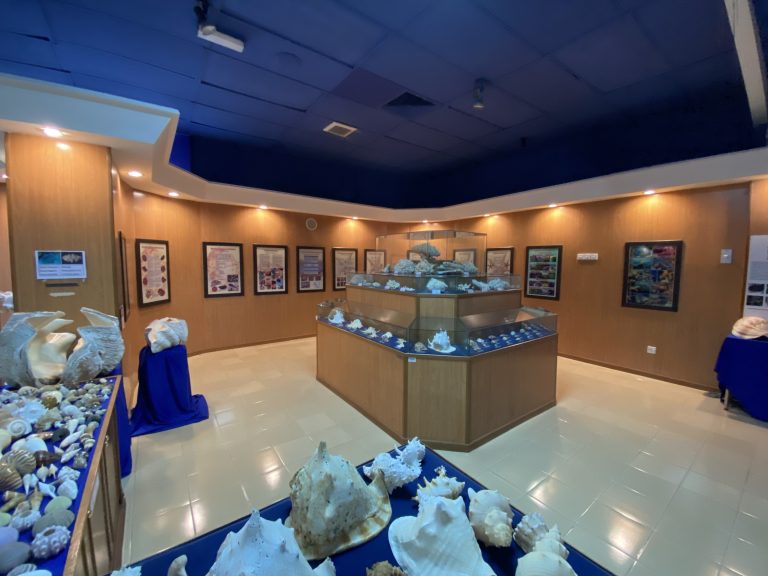 marine ecosystem gallery section