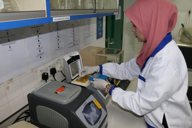 pp-impak-persekitaran-5